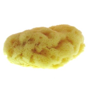 esponja 1